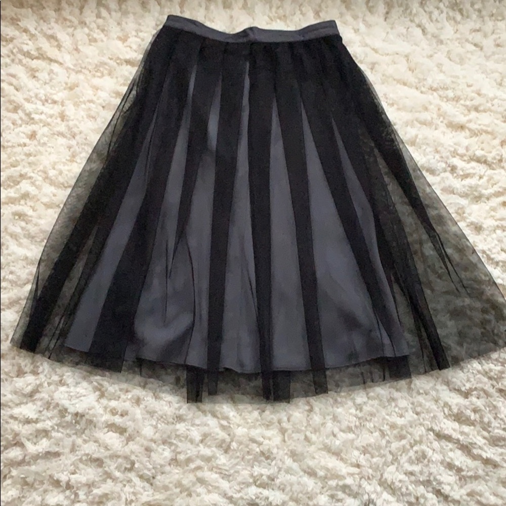 Pleated Tulle Skirt